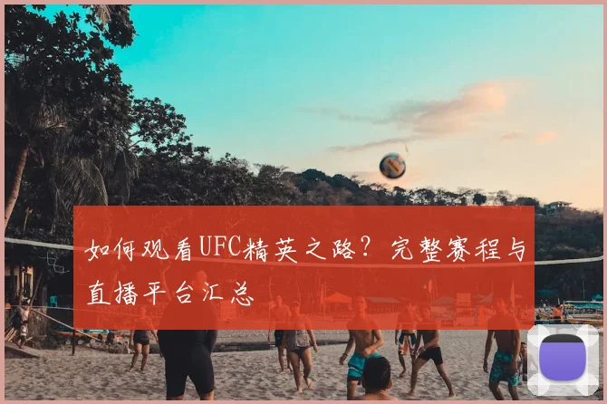 如何观看UFC精英之路?完整赛程与直播平台汇总