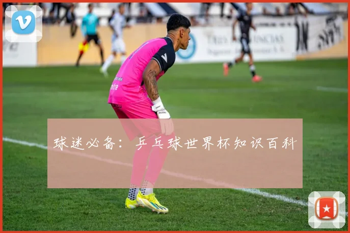 球迷必备:乒乓球世界杯知识百科