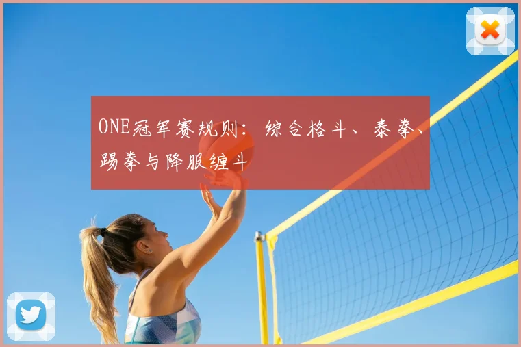 ONE冠军赛规则:综合格斗、泰拳、踢拳与降服缠斗